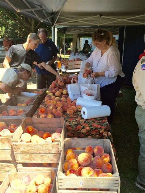 peach festival berlin md